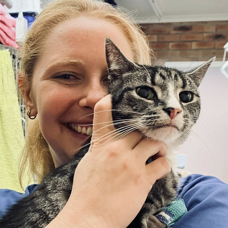 Stawell Veterinary Clinic - Cat Vet Services