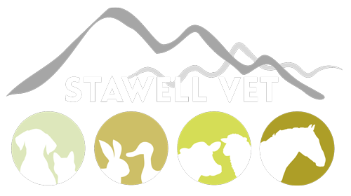 Stawell Veterinary Clinic