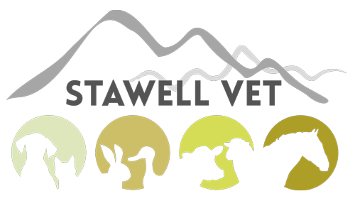 Vet Dadswell Bridge