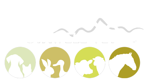 Stawell Veterinary Clinic - Meet Our Team